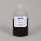 Carolina Pectinase – Fruit-Breakdown Enzyme | 100 Ml | Juice Extraction &amp Enzyme Activity Labs