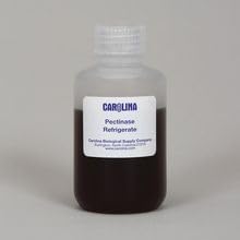 Carolina Pectinase – Fruit-Breakdown Enzyme | 100 Ml | Juice Extraction &amp Enzyme Activity Labs