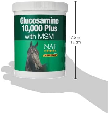 NAF Glucosamine 10000 Plus with MSM