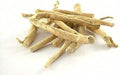 100% Natural Ashwagandha Roots for Enhancing Focus &amp Mental Stamina (Pack of 100grams)