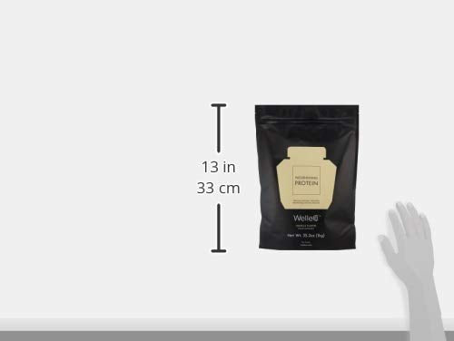 WelleCo Vegan Protein Powder Gluten Free Premium Organic Sprouted Brown Rice &amp Pea Protein Blend Low Carb &amp Dairy Free for Energy Muscle Recovery 16g Protein Per Serving Vanilla 35.2oz