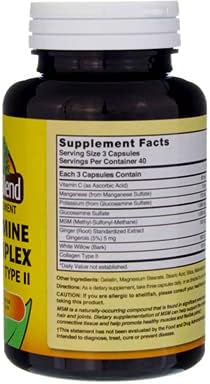 Nature's Blend Glucosamine/MSM Complex Capsules - 120 ct Pack of 5