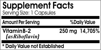 B-2 Vitamin 250mg // 100 Capsules // Pure // by PureControl Supplements