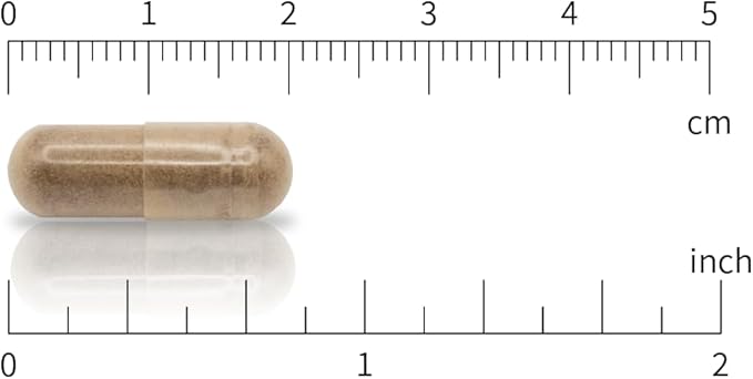 CBInatural Ashwagandha 12:1 Extract 500mg – Energy Vitality &amp Men’s Wellness Support – 120 Vegan Capsules 4-Month Supply