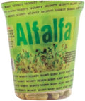 Angely's Beauty Alfalfa 150 Capsules