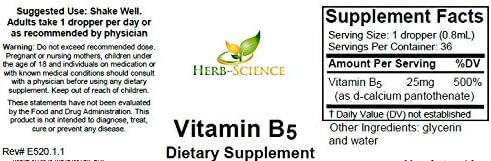 Liquid Vitamin B5 Drops Pantothenic Acid Supplement Alcohol Free Vegan Non-GMO Liquid Formula 1 Fl Oz