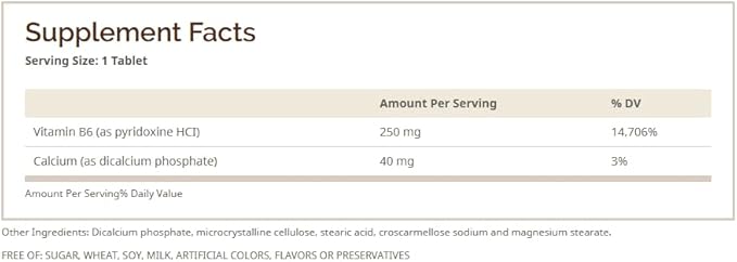 Windmill Vitamin B-6 250 mg Tablets 60 Tablets (Pack of 3)