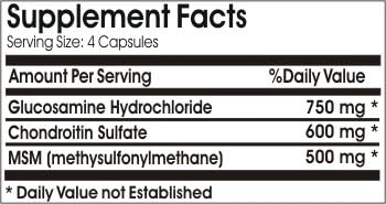 Glucosamine 750mg Chondroitin 600mg and MSM 500mg TS ~ 100 Capsules - No Additives ~ Naturetition Supplements