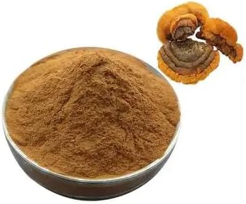 Phellinus Linteus Extract 20:1 Powder 1.1LB (500g)