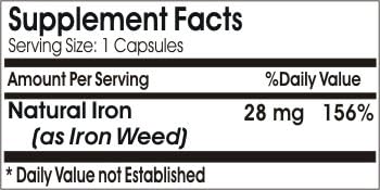 Natural Iron 28mg // 100 Capsules // Pure // by PureControl Supplements