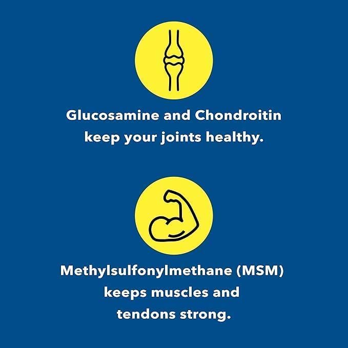 Advanced Mobility &amp Flexibility Support Formula with Glucosamine Chondroitin &amp MSM – 240 Capsules for Active Lifestyles &amp Daily Wellness