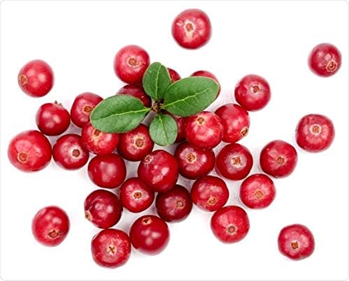 Milk Thistle Supplements - URIC Acid Natural ANTIOXIDANT - Tart Cherry Chanca PiedraTurmeric Milk Thistle Celery - 6 Bottles 360 Vegetable Capsules