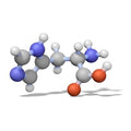 EMD Millipore 555682-10GM Calbiochem Riboflavin Vitamin B2 10 g