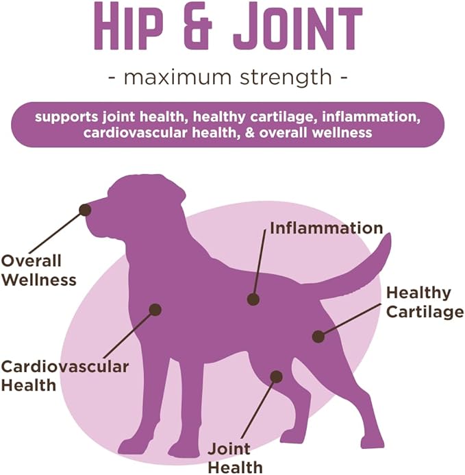 Dr. Joseph's VetPro Complete Dog Hip &amp Joint Supplement for Arthritis Pain Relief – High-Strength Glucosamine &amp Chondroitin Chews for Senior Dogs – Vet Formulated Peanut Butter Flavor 60 Ct