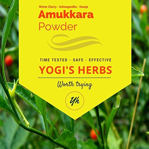 YOGIS HERBS Amukkara Powder (Withania Somnifera) - Aswagandha Root Powder 1Lb Fresh &amp Pure