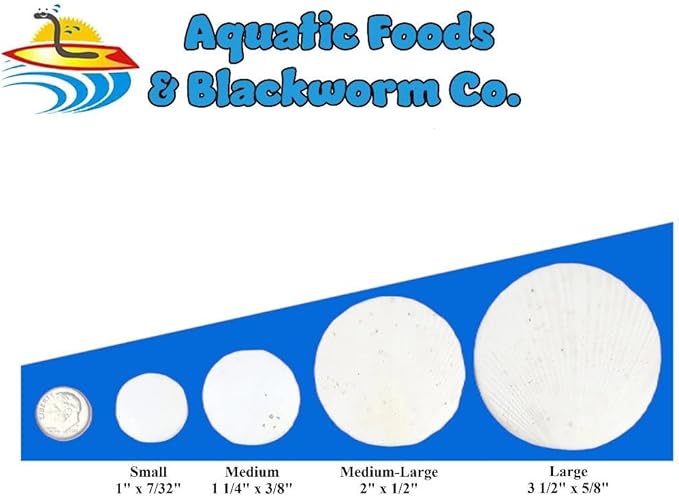 Aquatic Foods Inc. Calcium Feeder Disks for Shrimp Snails Crabs Crayfish Hermit Crabs and All Tropical Fish 335 Count Jar of Small-Medium-Large Feeder Disks
