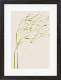 Thistle and Thatch by Kamdon Kreations Framed Art Print Wall Picture Espresso Brown Frame 19 x 25 inches