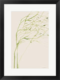 Thistle and Thatch by Kamdon Kreations Framed Art Print Wall Picture Black Frame 19 x 25 inches