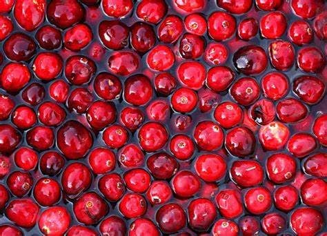Green Coffee Bean Extract - URIC Acid - Green Coffee Beans Green Coffee Extract Green Coffee Bean Oil Foods That Lower uric Acid Foods That Reduce uric Acid Natural Lower uric Acid 3Bot 180Cap