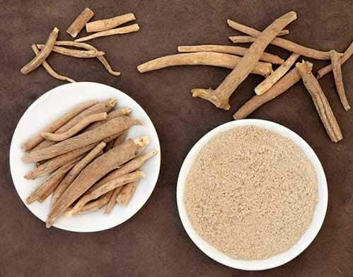 neotea Organic Ashwagandha Root Powder | 100% Pure Withania Somnifera Root | Herbal Supplement | Non-GMO Vegan Gluten-Free | Natural Energy &amp Vitality Support | No Additives (500 GM(17.63OZ))