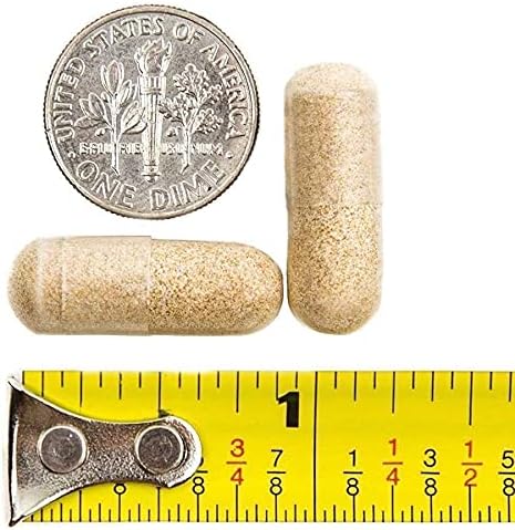 BariatricPal 90-Day Bariatric Vitamin Bundle (Multivitamin ONE 1 per Day! Capsule with 45mg Iron and Calcium Citrate Soft Chews 500mg with Probiotics - French Caramel Vanilla)