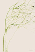 Thistle and Thatch by Kamdon Kreations Art Print 8 x 12 inches