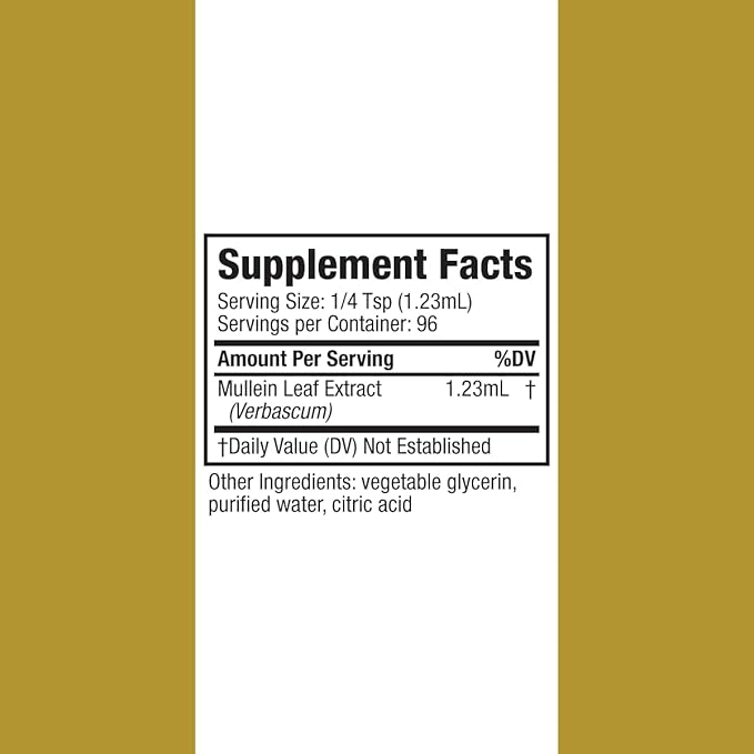 Rejuvica Health Active Mullein 2oz - Advanced Mullein Liquid Extract - Lung Support Drops - Vegan Sugar Free Non GMO Tincture
