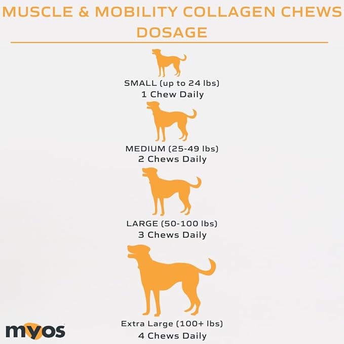 MYOS Canine Muscle &amp Mobility Chews – Collagen &amp Glucosamine for Dogs - Bacon Flavor Joint Supplement for Muscle Bone &amp Joint Support 60 Count