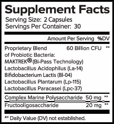 Ammo 60 Probiotic – 60 Billion CFU 4 Targeted Strains + FOS Prebiotic – Supports Digestive Balance &amp Boost Immune System – Daily Probiotic Supplement