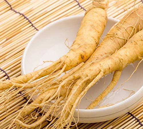 ADAPTOGEN Supplement - Amla Fruit Eleutherococcus senticosus Holy Basil Leaf Panax Ginseng Schisandra Fruit Rhodiola rosea Maca Astragalus Root Adaptogen Blend Natural 1Bot