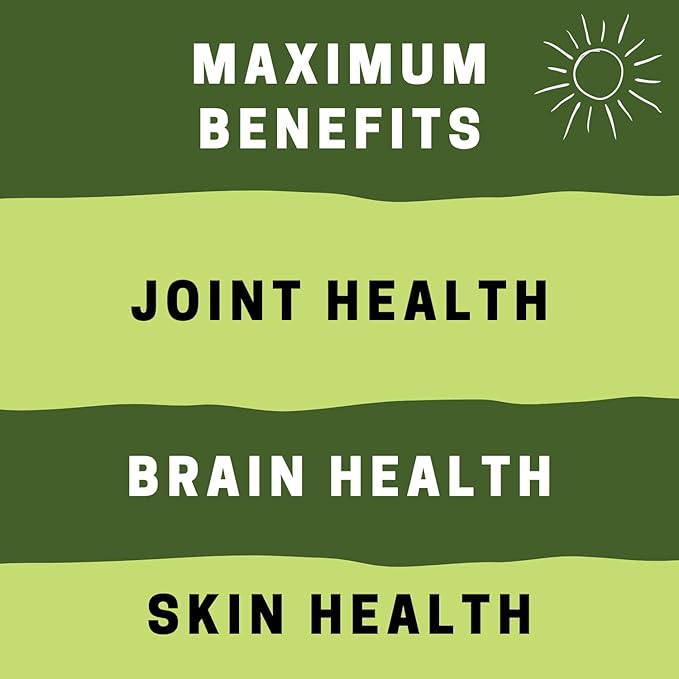 Vegan Fish Oil Alternative - Award Winning Omega 3 DHA EPA and GLA Supplement - Plant Based Omegas - 4X Better Than Flax Chia &amp Hemp - Contains GLA not Found in Algae - 90 Vegan softgels