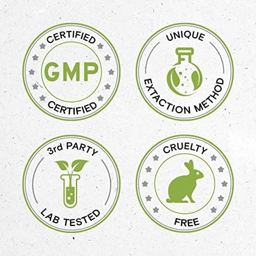 Secrets of the Tribe Grape Seed and Bitter Melon Liquid Extract (2 pcs.) | Alcohol-Free Tinctures | Grape (Vitis vinifera) Dried Seed and Bitter Melon (Momordica charantia) Dried Fruit (2x4 fl oz)