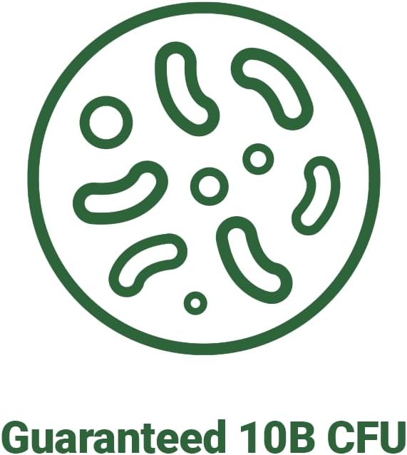 BNRThin S30 Lactobacillus Gasseri BNR17 10 Billion CFU Guaranteed 90 Capsules (90 Serving 3 Packs of 30)