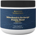 Rooted Miltivitamin with Brain Supplements for Memory and Focus | Energy Vitamins for Men and Women | Brain Health Support &amp Mental Clarity | Cognitive Booster | Mitochondria Recharge | 14.6oz Pow