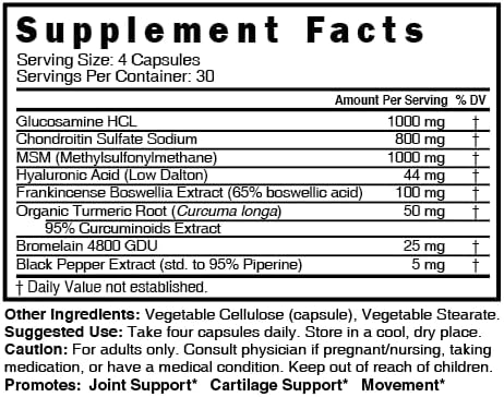 Nature's Fusions Organic Turmeric Supplement 1425mg 95% Cucuminoids &amp Glucosamine Chondroitin Joint Supplement Bundle