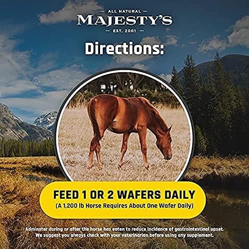 Majesty's Flex HA Wafers - Superior Performance Horse/Equine Joint Support Supplement - HA Vitamin C Yucca Glucosamine (Peppermint 2 Pack (120 Count Total))