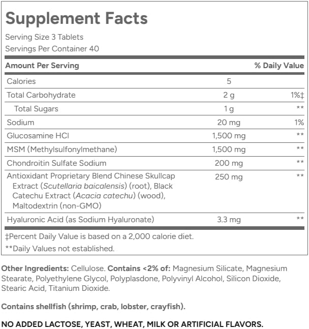 21St Century Glucosamine Chondroitin Advanced with Msm - 120 Tablets (Pack of 3)