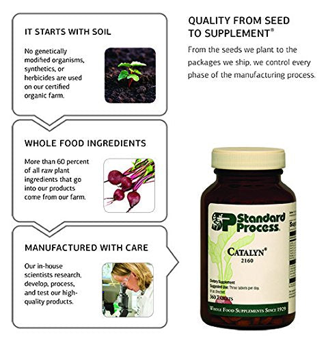 Standard Process - Gastrex - Supports Digestion Stimulates Cleansing of Upper Gastrointestinal (GI) Tract Provides Vitamin C Niacin Vitamin B6 Okra and Tillandsia Usneoides - 90 Capsules