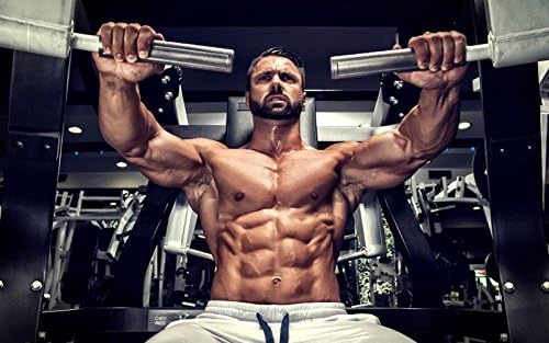 Muscle Hypertrophy - CREATINE TRI-Phase - PRE &amp Post Workout - creatine raw - 3 Bottles (270 Tablets)