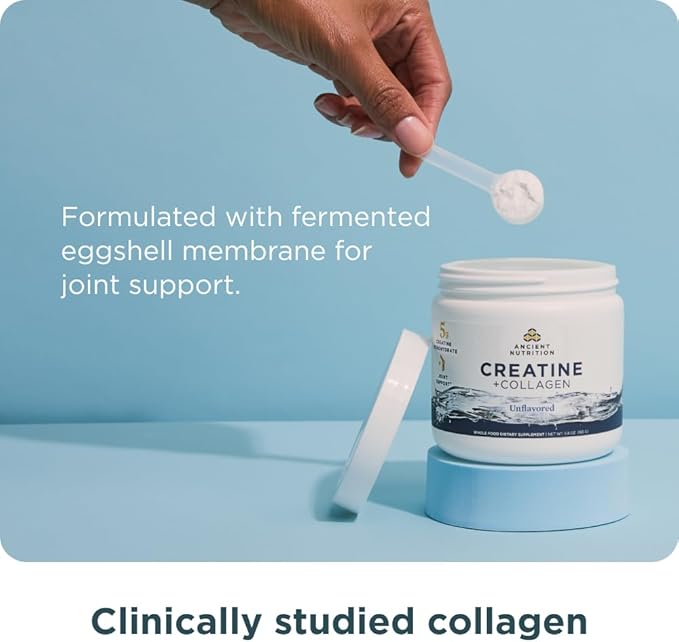 Ancient Nutrition Creatine + Collagen – Muscle Strength Lean Body Mass Joint Comfort &amp Cognitive Support – Includes 5g Creatine Monohydrate for Women 30 Servings