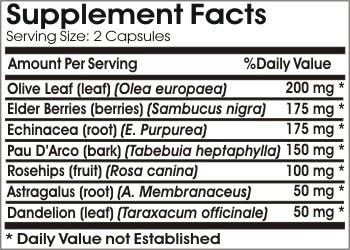 Max Immune Defense ~ 90 Capsules - No Additives ~ Naturetition Supplements