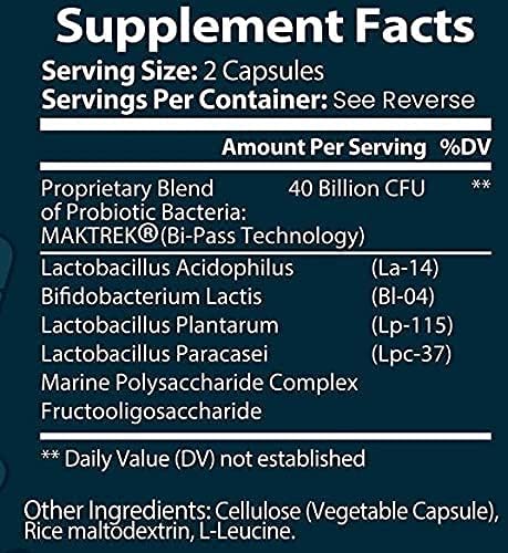 Probiotic Blend - 700CT Value Size Bottle of Multiple Strains of Key Bacteria Include Lactobacillus Acidophilus Bifidobacterium Lactis L. Plantarum L. Paracasei in a Clear Square Grip Jar