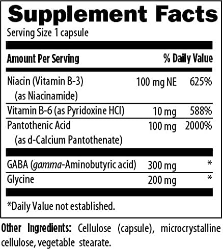 Designs for Health StressArrest - 300mg GABA with Glycine Pantothenic Acid + Niacinamide (Vitamin B3) to Promote a Calm Stress Response - Non-GMO Gluten Free Supplement (90 Capsules)