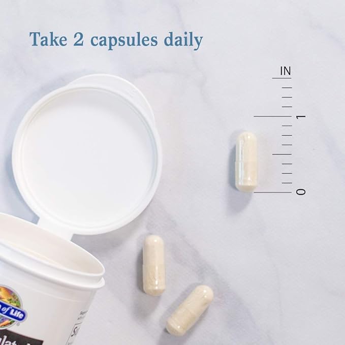 Garden of Life Dr. Formulated Probiotics Platinum Series Restore 200 Billion CFU Guaranteed High Potency Probiotic Formula Vegan Non-GMO Gluten Dairy Free Digestive Immune Support 28 Capsules