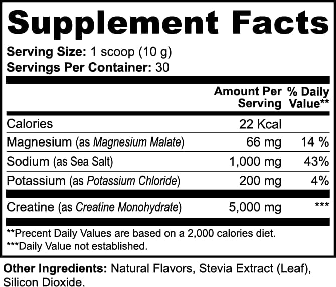Invincible HydraStrength™ Creatine + Electrolyte Performance Formula | Hydration Strength Recovery &amp Muscle Endurance Support | Daily Workout Supplement