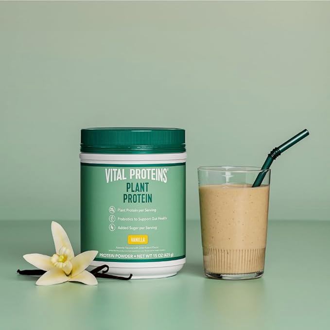 Vital Proteins Protein Powder – 20g Plant Based Protein with Chickpea – 1B CFU Probiotic for Gut Health No Added Sugar – Vanilla 15 oz