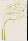 Thistle and Thatch by Kamdon Kreations Canvas Art Wall Picture Museum Wrapped with Black Sides 13 x 20 inches