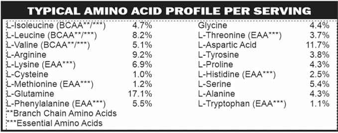 Casa de Sante Vegan Protein Vanilla - GLP-1 Support Low FODMAP Gut Friendly Plant Protein Powder - 21g Protein - MD PhD Formulated - Pea Hemp Sacha Inchi - 16 oz