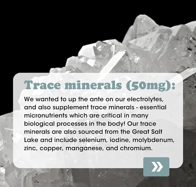 Fringe Electrolyte and Mineral Mix Pure Ocean Sea Salt for Rehydration Potassium Chloride Magnesium Malate for Muscle Tension Calcium and Trace Minerals for Essentials Unflavored 45 Servings