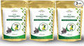 Kaunch Beej Powder – Natural Ayurvedic Herb for Daily Wellness | 100% Pure &amp Vegan 100g Each(Pack of 3)